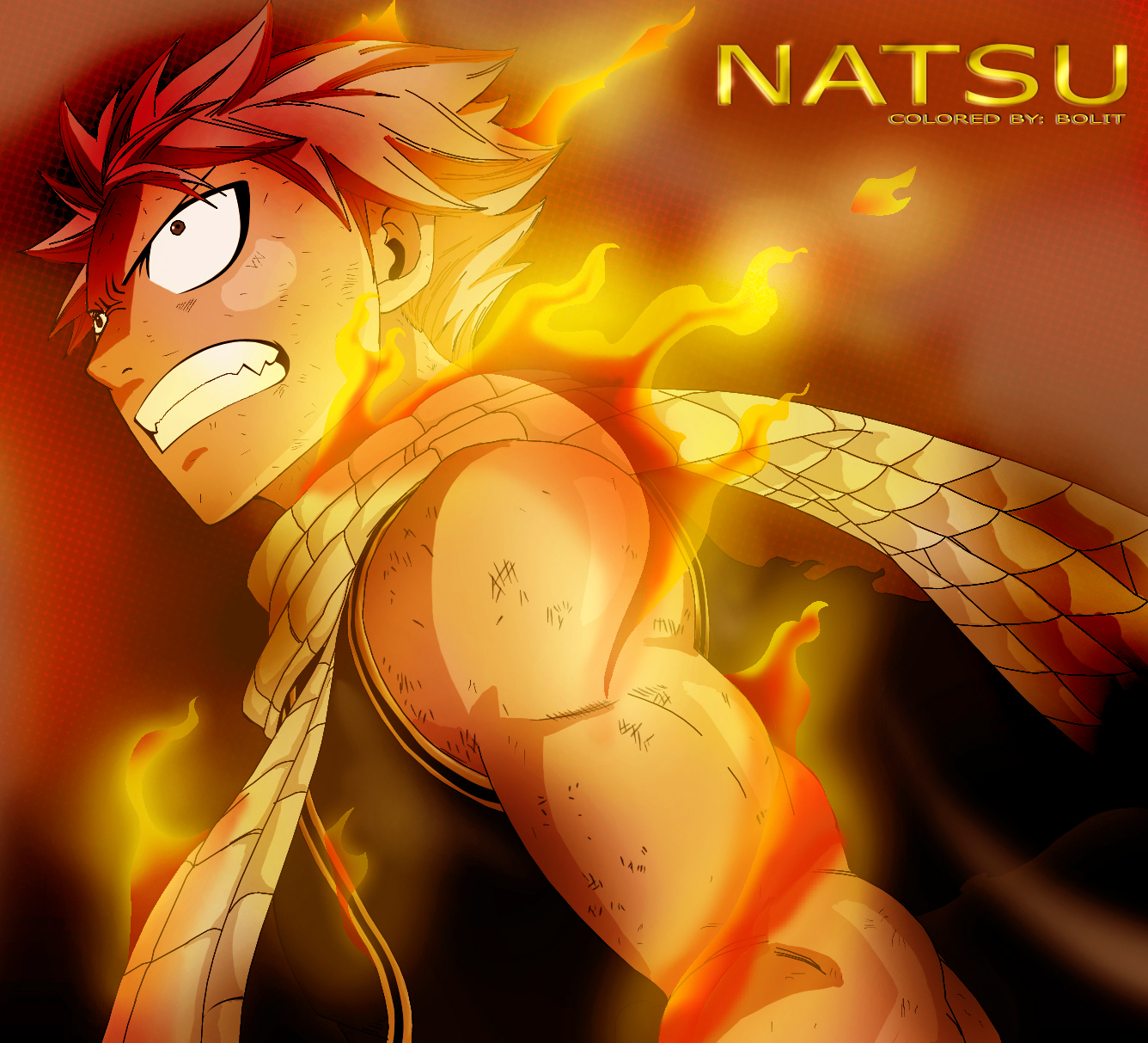 FLAME OF NATSU