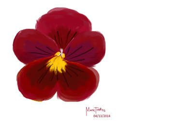 Red Pansy