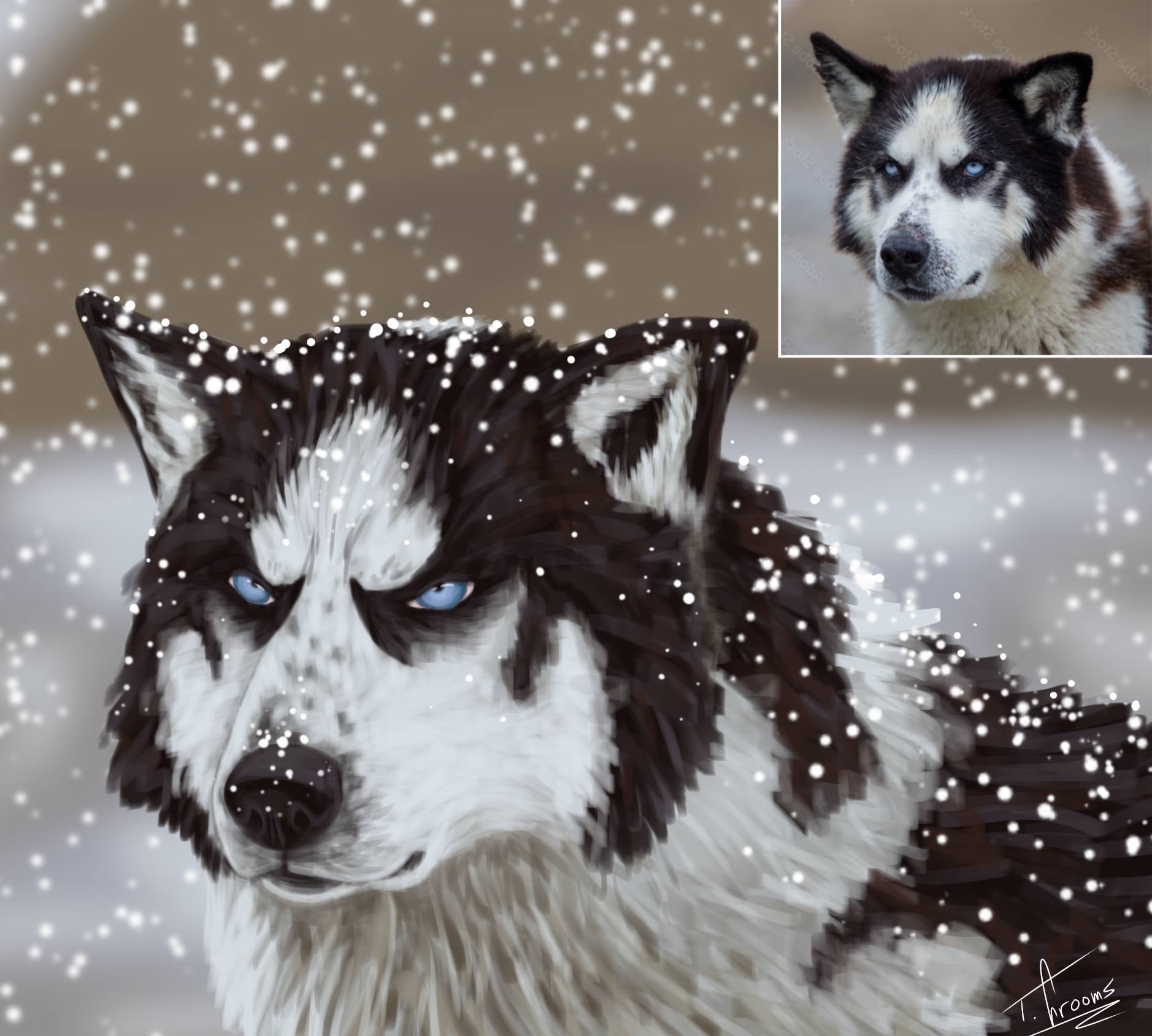Husky Deviantart Husky painting practice by JINX-DeviantArt on DeviantArt