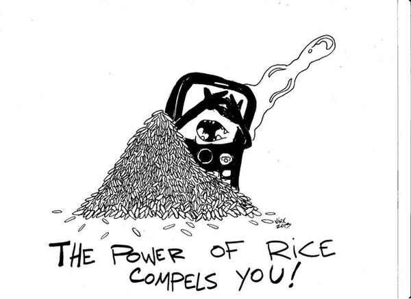 Cartoon Rice Power THE POWER OF RICE COMPELS YOU! by ViXX313 on DeviantArt