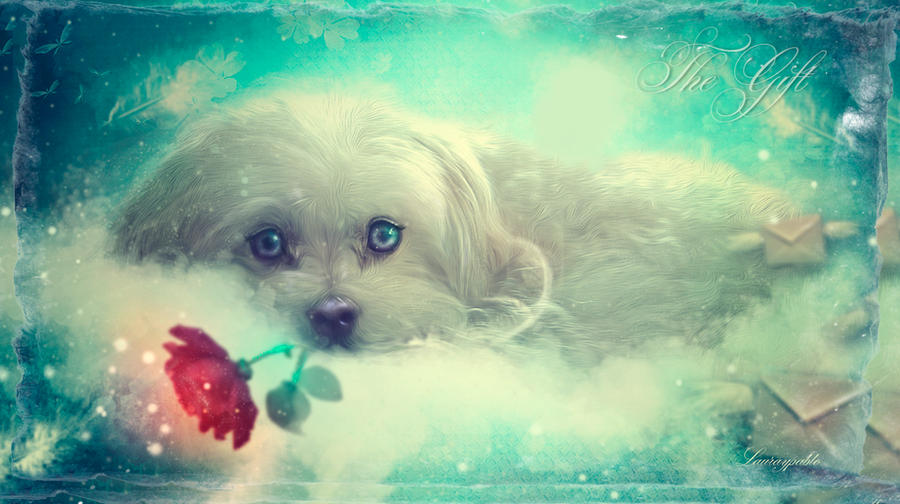 The Gift lyp by lauraypablo The Gift lyp by lauraypablo