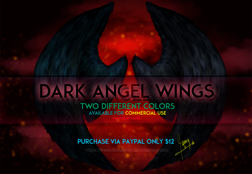 Dark angel wings lauraypablo