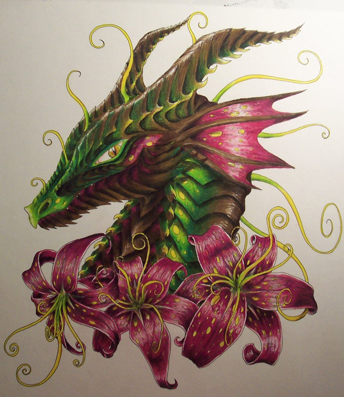 jungle dragon v2