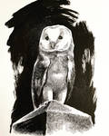 Inktober 2022 No. 1: The Owl by B3NN3TT
