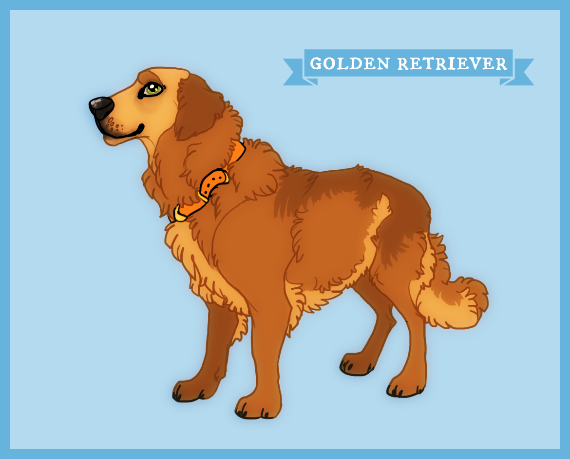 1. Golden Retriever