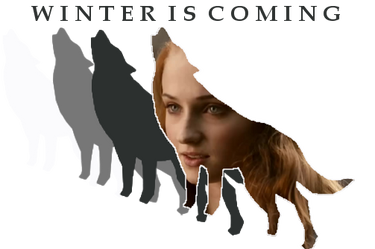 Sansa Stark Banner