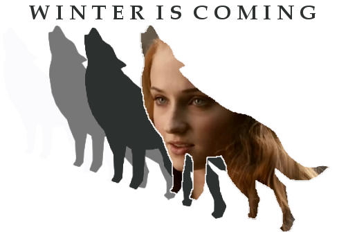 Sansa Stark Banner