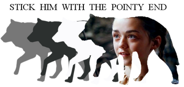 Arya Stark Banner