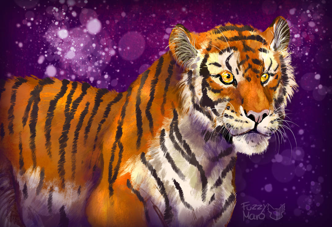 Tiger by FuzzyMaro on DeviantArt