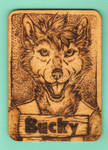 Bucky- a happy husky dog by FuzzyMaro