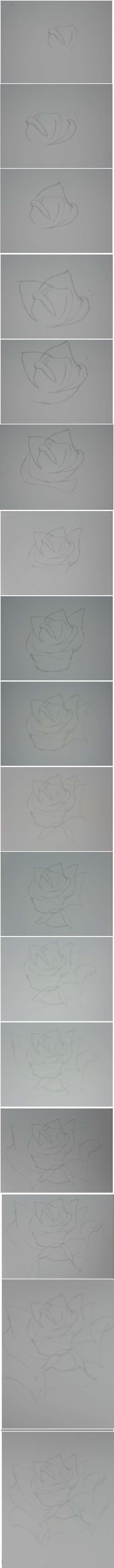 Rose Tutorial