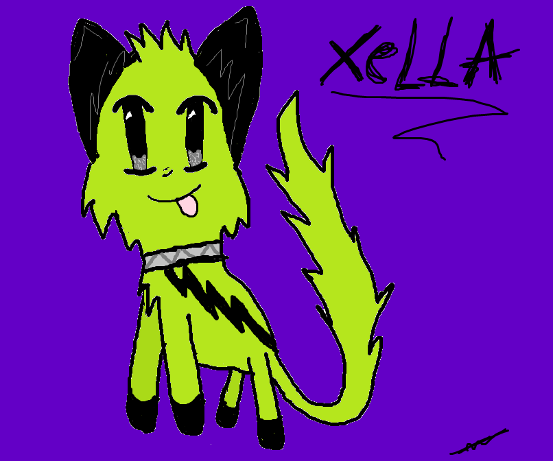 Xella Cat- a good one