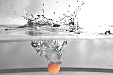 Physalis and water splash