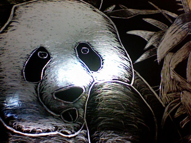 Scratchboard Panda by Panda-Powers on DeviantArt