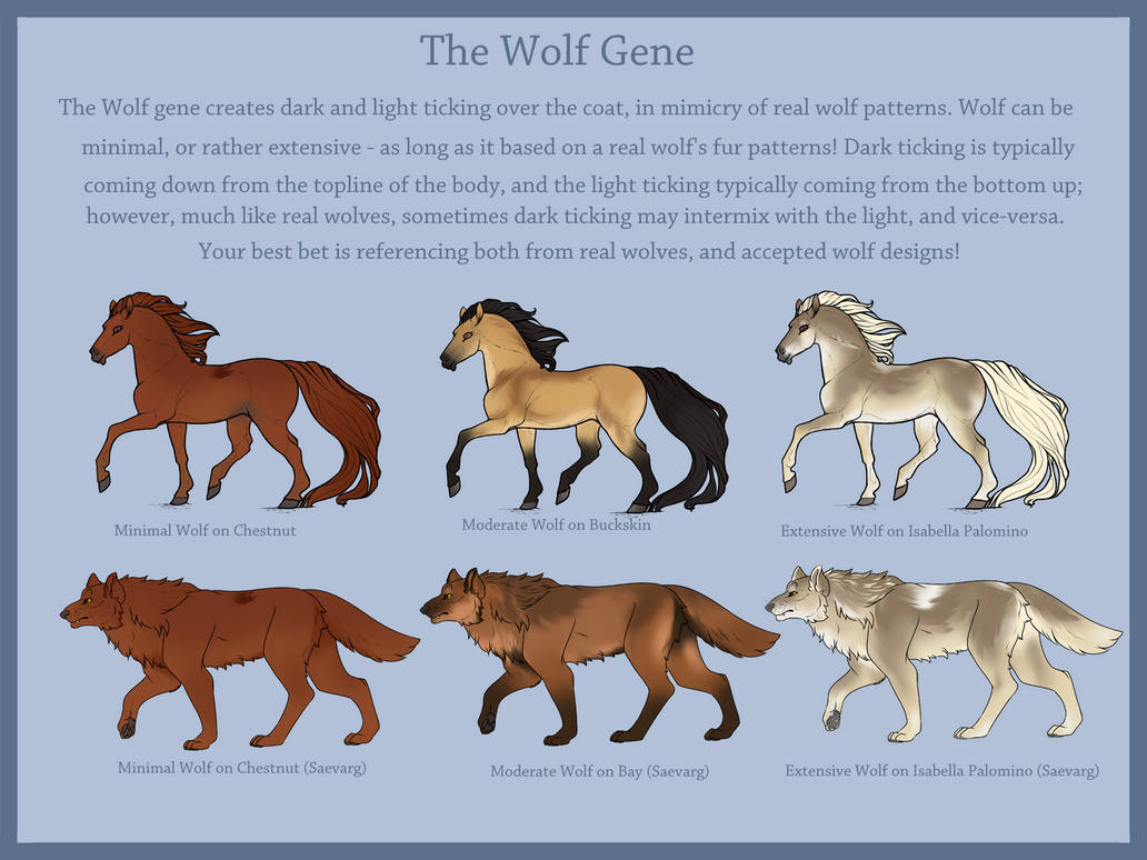 Anamorphic Wolves Anomalous Complex | Wolf Gene by AnomalousArchive on DeviantArt