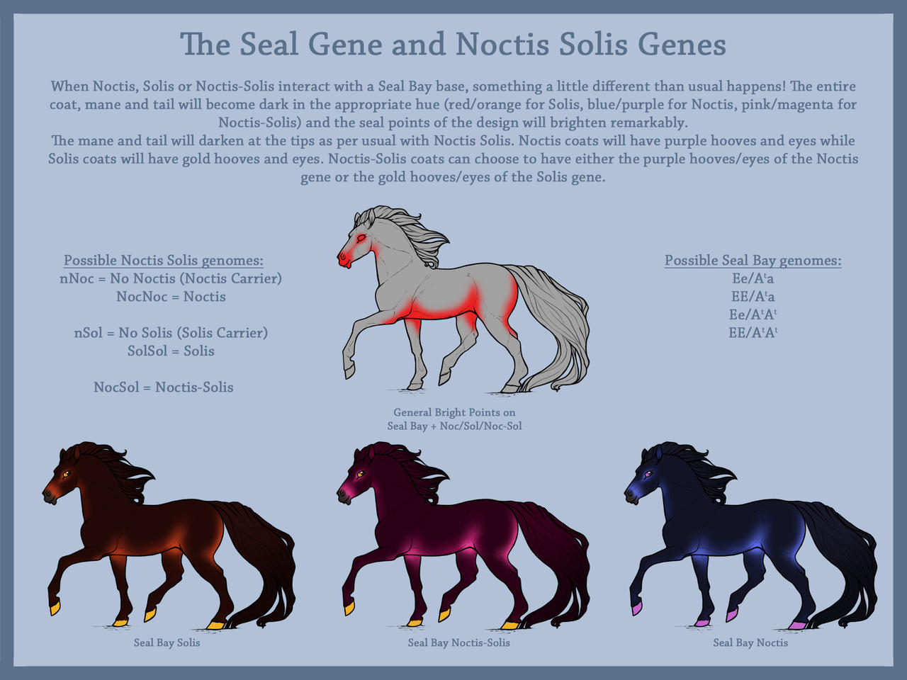 Anomalous Complex | Seal Bay Noctis/Solis Examples by AnomalousArchive ...