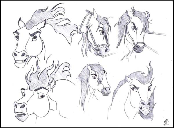 Spirit: Cimarron- face study