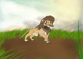 'Kendall, the shy lion'