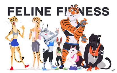 FELINE FITNESS