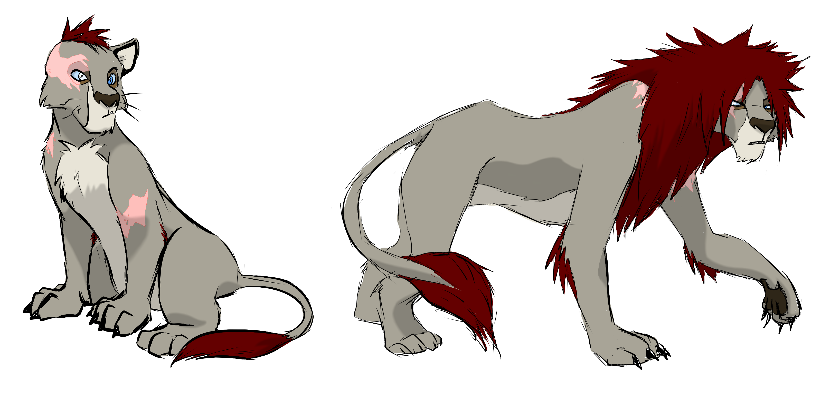 Zareb :: Lion King OC