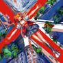 Flag
