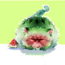 watermelon cat