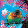 Lovebird