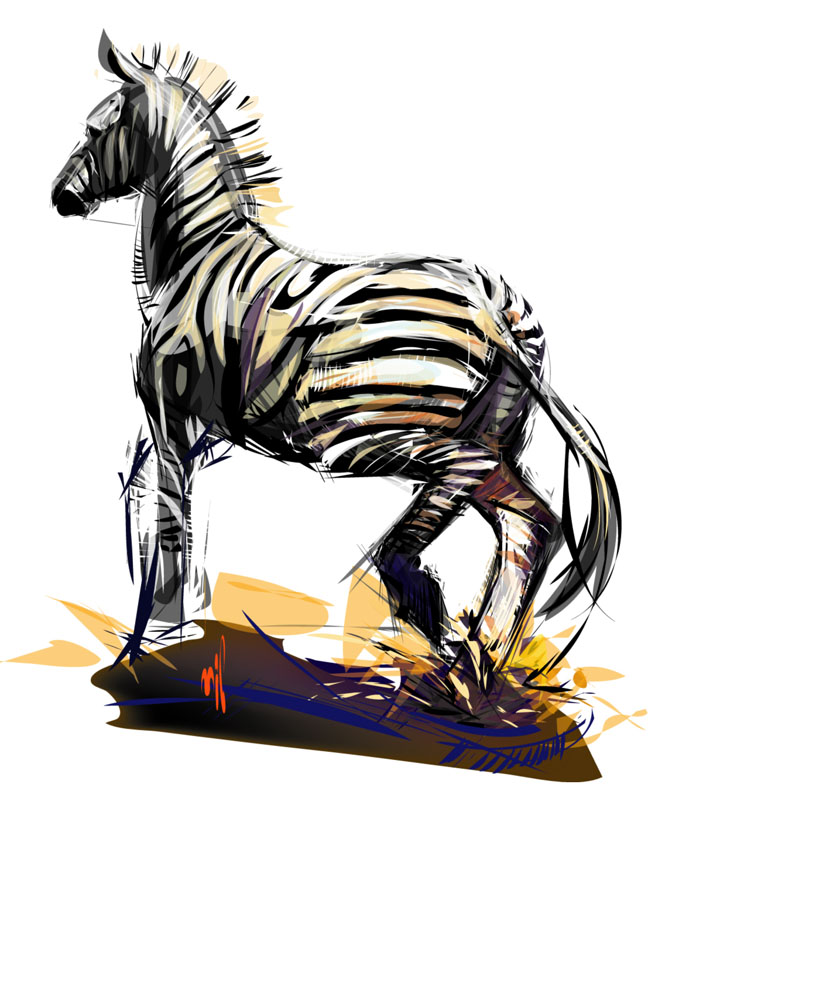 Zebra