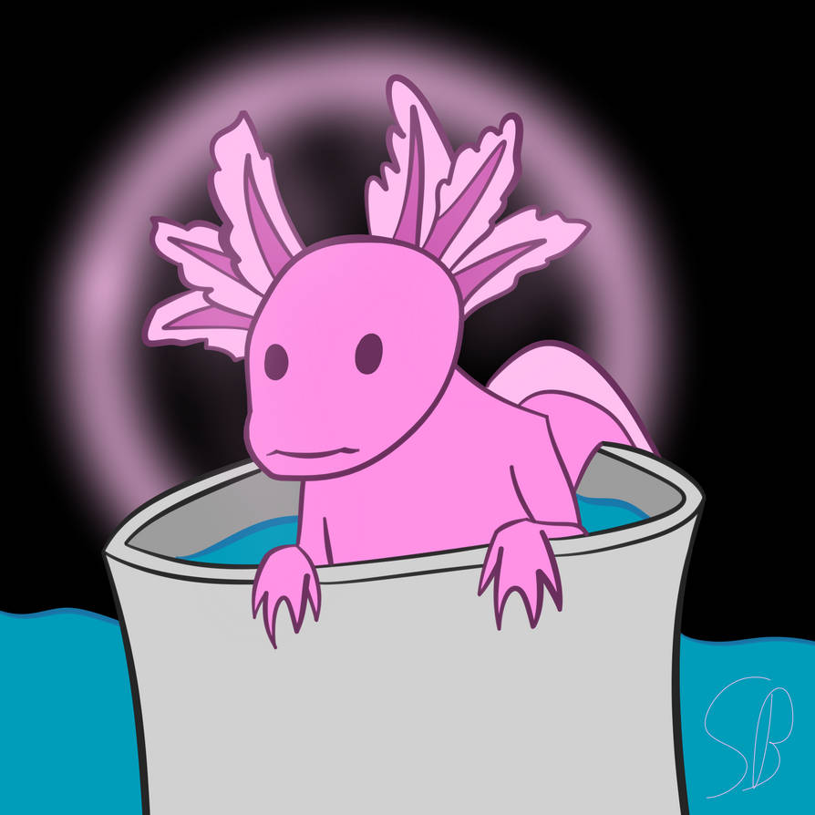 Cute Axolotl By Skullb0nes On Deviantart Cute Axolotl By Skullb0nes On Deviantart