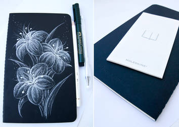 Night flowers (on Moleskine)