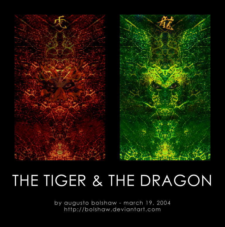 The Tiger and The Dragon