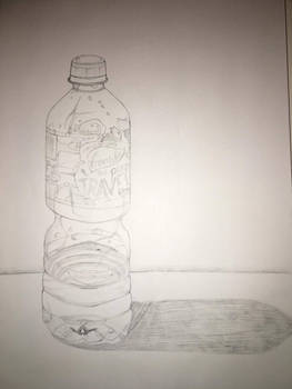 Water Bottle