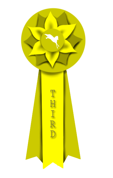 WSA Third Place Ribbon