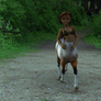 Girl4 Centaur
