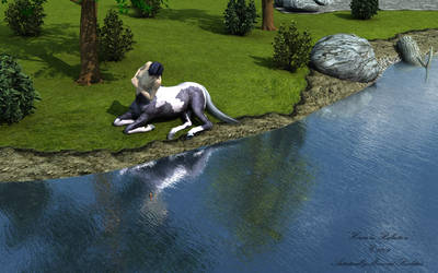 Horses in Reflection by AdamTLS