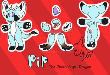 my dutch angel dragon pip