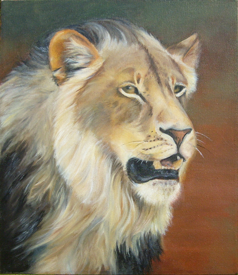 lion of the limpopo