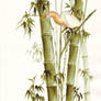 bamboo and heron