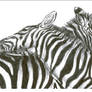 zebra card