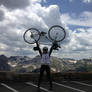 Top of Trail Ridge