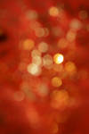 autumn bokeh by miss-deathwish-stock