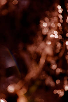 auburn bokeh