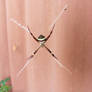 St. Andrews Cross Spider