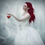 The Sound of the Heart