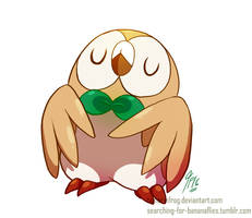 DD - Dapper Owl