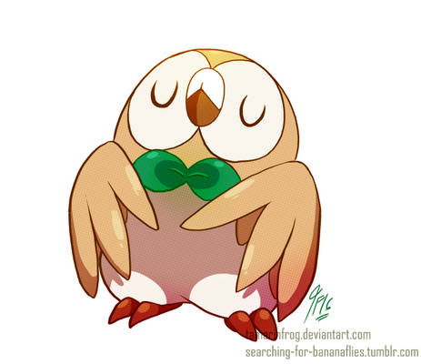 DD - Dapper Owl