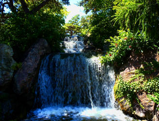 Waterfall- Botanic Garden