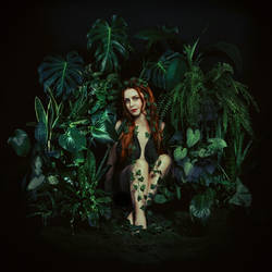 Plants - Self Portrait