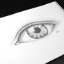 Eye Sketch