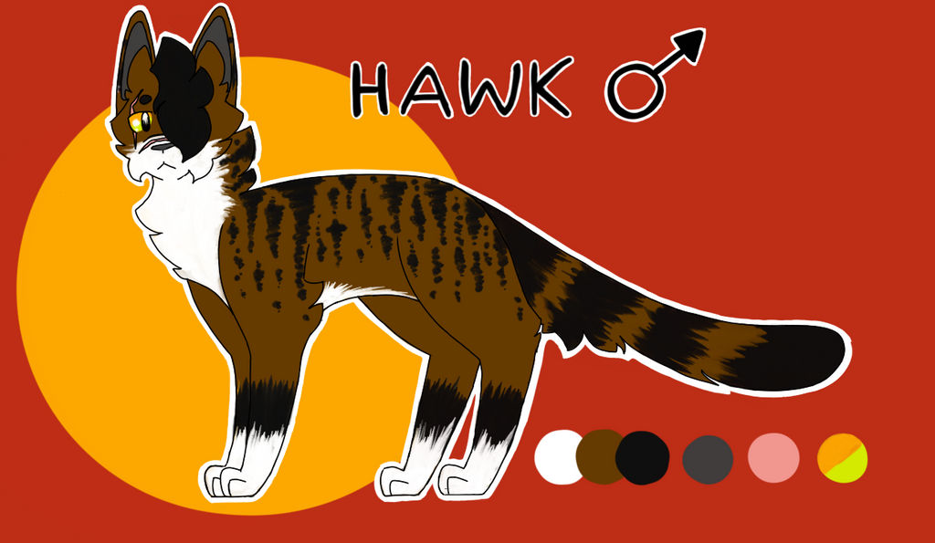 Hawk Ref Base Updated Hawk Reference Sheet by hawkthespork on DeviantArt